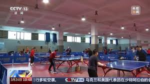 2026世界杯官网 室内健身器座椅